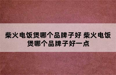 柴火电饭煲哪个品牌子好 柴火电饭煲哪个品牌子好一点